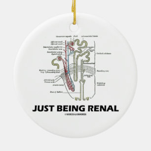 Nieren gerade seiend (Niere Nephron NierenSpaß) Keramikornament