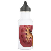 Nieren Trinkflasche (Links)