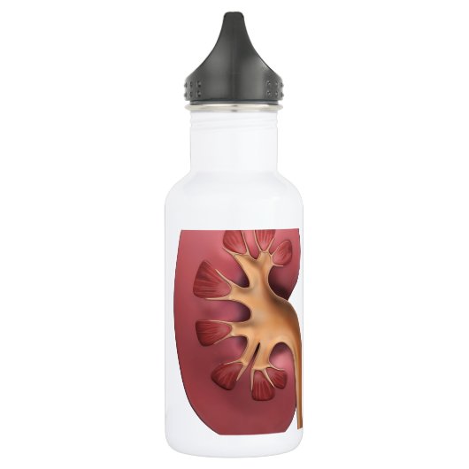 Nieren Trinkflasche (Links)