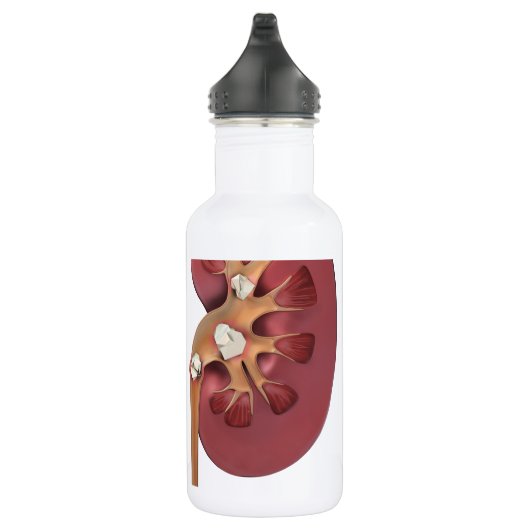 Nieren Trinkflasche (Rechts)