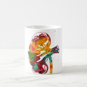 Nierenabschnitt Kaffeetasse
