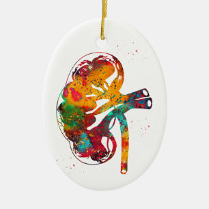 Nierenabschnitt Keramik Ornament