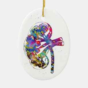 Nierenabschnitt Keramik Ornament