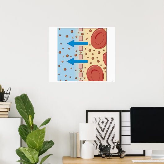 Nierendialyse Poster (Heimbüro)