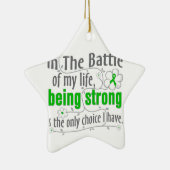 Nierenerkrankung in der Schlacht Keramikornament (Rechts)