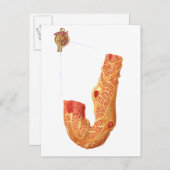 Nierenkorpuskel und Filtrationsmembran Postkarte (Vorne/Hinten)