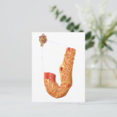 Nierenkorpuskel und Filtrationsmembran Postkarte (Stehend Vorderseite)