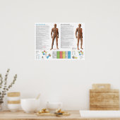 Nierenmeridian Akupunkturpunkte Poster (Küche)