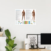 Nierenmeridian Akupunkturpunkte Poster (Heimbüro)