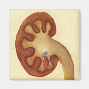 Nierenstein Magnet