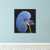 Nierenzirkulation Leinwanddruck (Insitu (Holzboden))