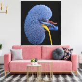 Nierenzirkulation Leinwanddruck (Insitu (Wohnzimmer))