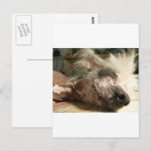 niesen postkarte (Vorne/Hinten)