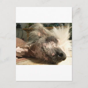 niesen postkarte