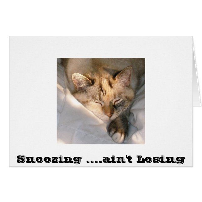 Niesend ....verliert nicht (Vorderseite (Horizontal))