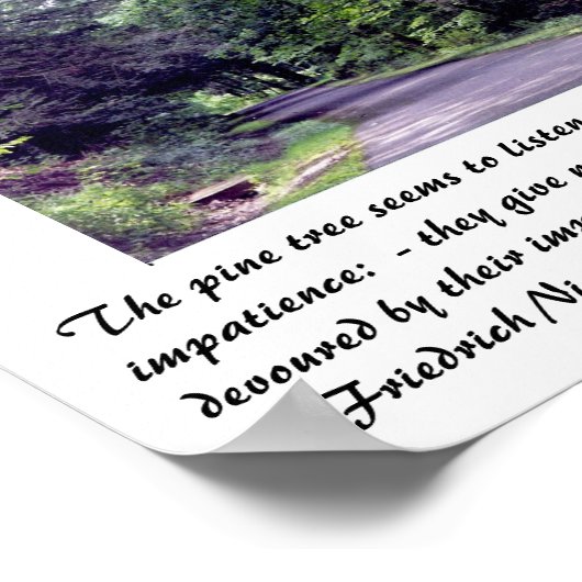 Nietzsche's Forest - Plakat (Ecke)