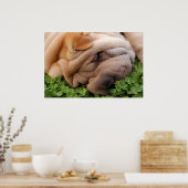 Niffing Clover Poster (Küche)