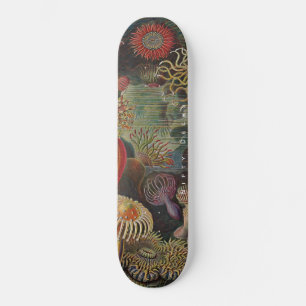 Nifty Decks - Wunder des Meeres - Actiniae Skateb Skateboard