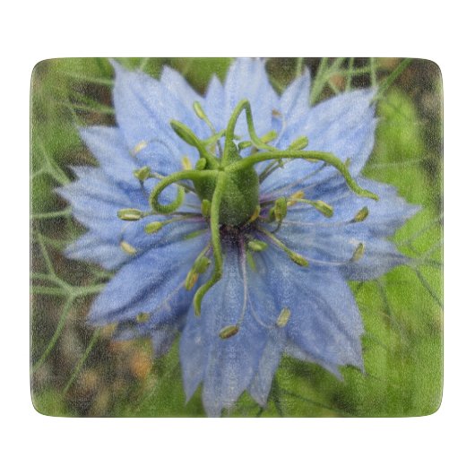 Nigella Blue Green Blooming Blume Schneidebrett (Vorderseite)