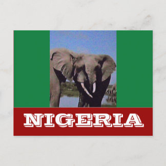 Nigeria-Flagge Postkarte
