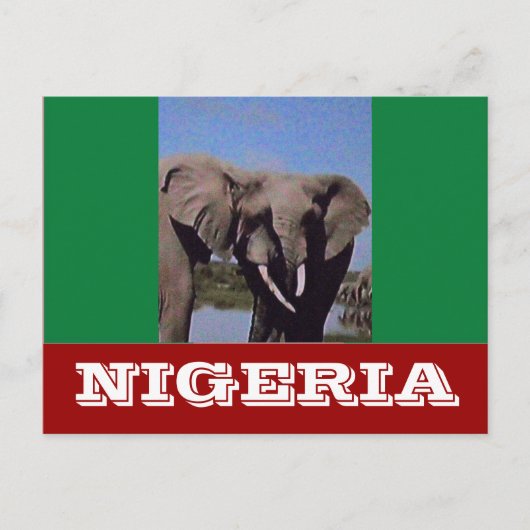 Nigeria-Flagge Postkarte (Vorderseite)