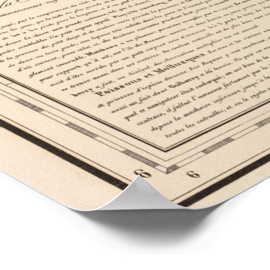 Nigeria, Kamerun Poster (Ecke)