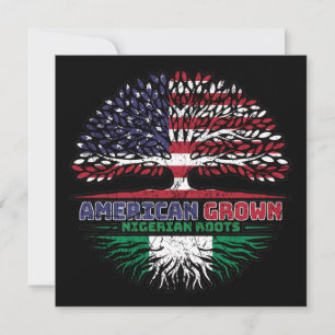 Nigeria Nigerian US Amerikanisch USA Vereinigte St Karte