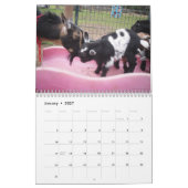 Nigeria-Zwergziegenkalender Kalender (Jan 2027)