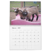 Nigeria-Zwergziegenkalender Kalender (Feb 2027)