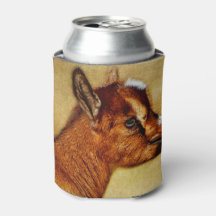 Nigerian Dwarf Dairy Goat Kid