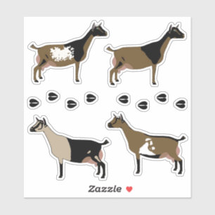 Nigerian Dwarf Daischiff Aufkleber