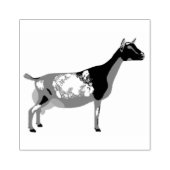 Nigerian Dwarf Daischiff Gummistempel (Prägung)