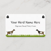 Nigerian Dwarf Daischiff Visitenkarte (Rückseite)