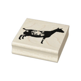 Nigerian Zwarf Dairy Goat Doe Gummistempel