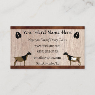 Nigerianische Zwerg Milchziege Visitenkarte