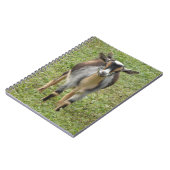 Nigerianische Zwerge Milchziege Kind Notizblock (Linke Seite)