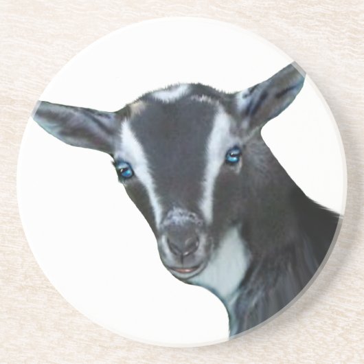 Nigerianische Zwergziege Sandstone Untersetzer (Vorne)