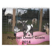 nigerischer zwergartiger Kalender der Ziege 2014 (Titelbild)