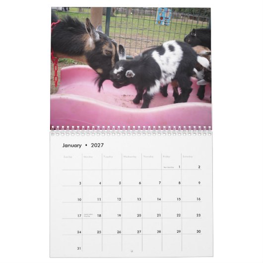 nigerischer zwergartiger Kalender der Ziege 2014 (Jan 2027)