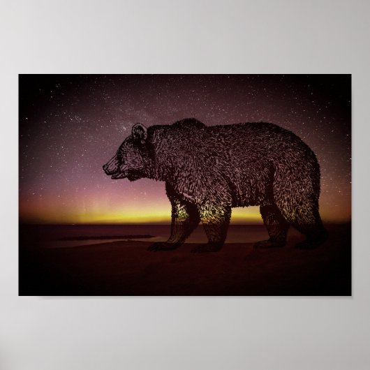 Night Bear And Aurora Borealis Poster (Vorne)