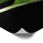 Night Blooming Jasmine Poster (Ecke)