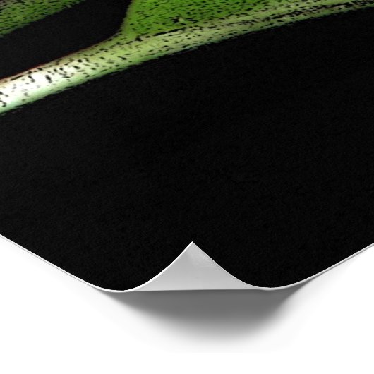 Night Blooming Jasmine Poster (Ecke)