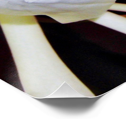 Night Blooming Staghorn Fern Poster (Ecke)