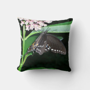 Night Butterfly Black Frack in Shenandoah Kissen