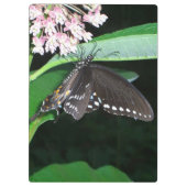 Night Butterfly Black Frack in Shenandoah Klemmbrett (Rückseite)
