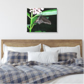Night Butterfly Black Frack in Shenandoah Leinwanddruck (Insitu (Schlafzimmer))