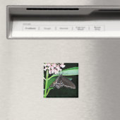 Night Butterfly Black Frack in Shenandoah Magnet (In Situ (Geschirrspüler))