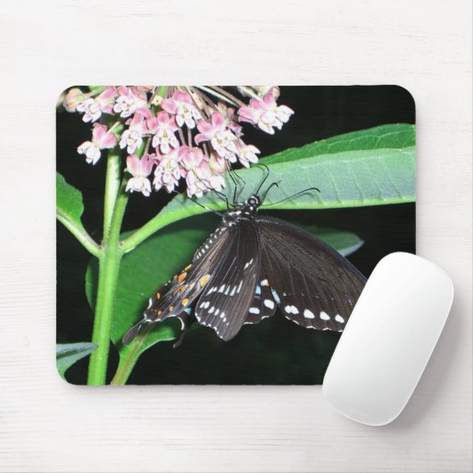 Night Butterfly Black Frack in Shenandoah Mousepad (Mit Mouse)