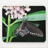 Night Butterfly Black Frack in Shenandoah Mousepad (Vorne)