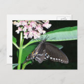 Night Butterfly Black Frack in Shenandoah Postkarte (Vorne/Hinten)